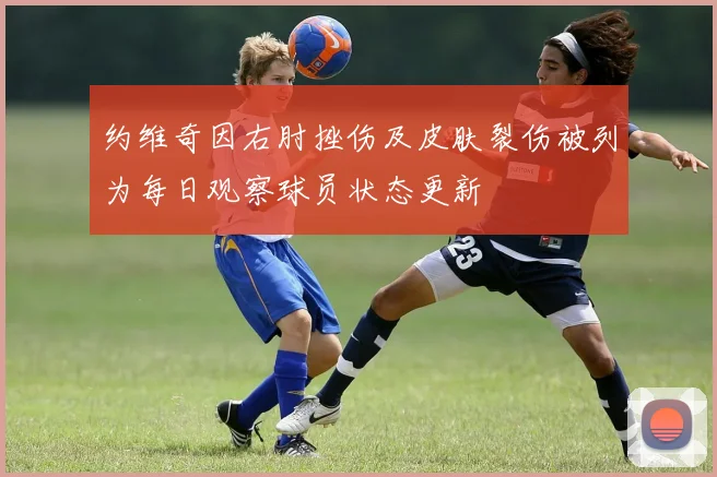 约维奇因右肘挫伤及皮肤裂伤被列为每日观察球员状态更新