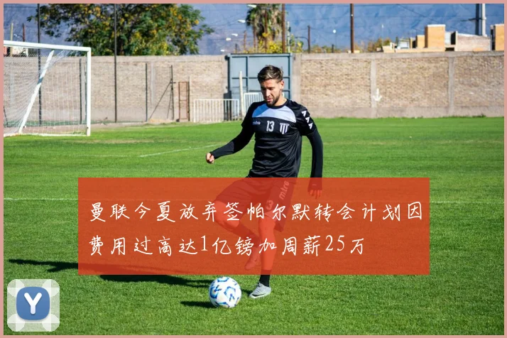 曼联今夏放弃签帕尔默转会计划因费用过高达1亿镑加周薪25万